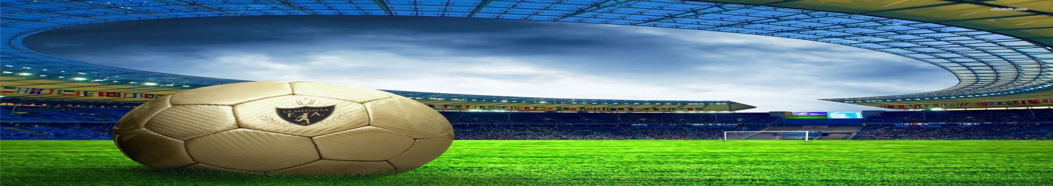 Estadio reducido